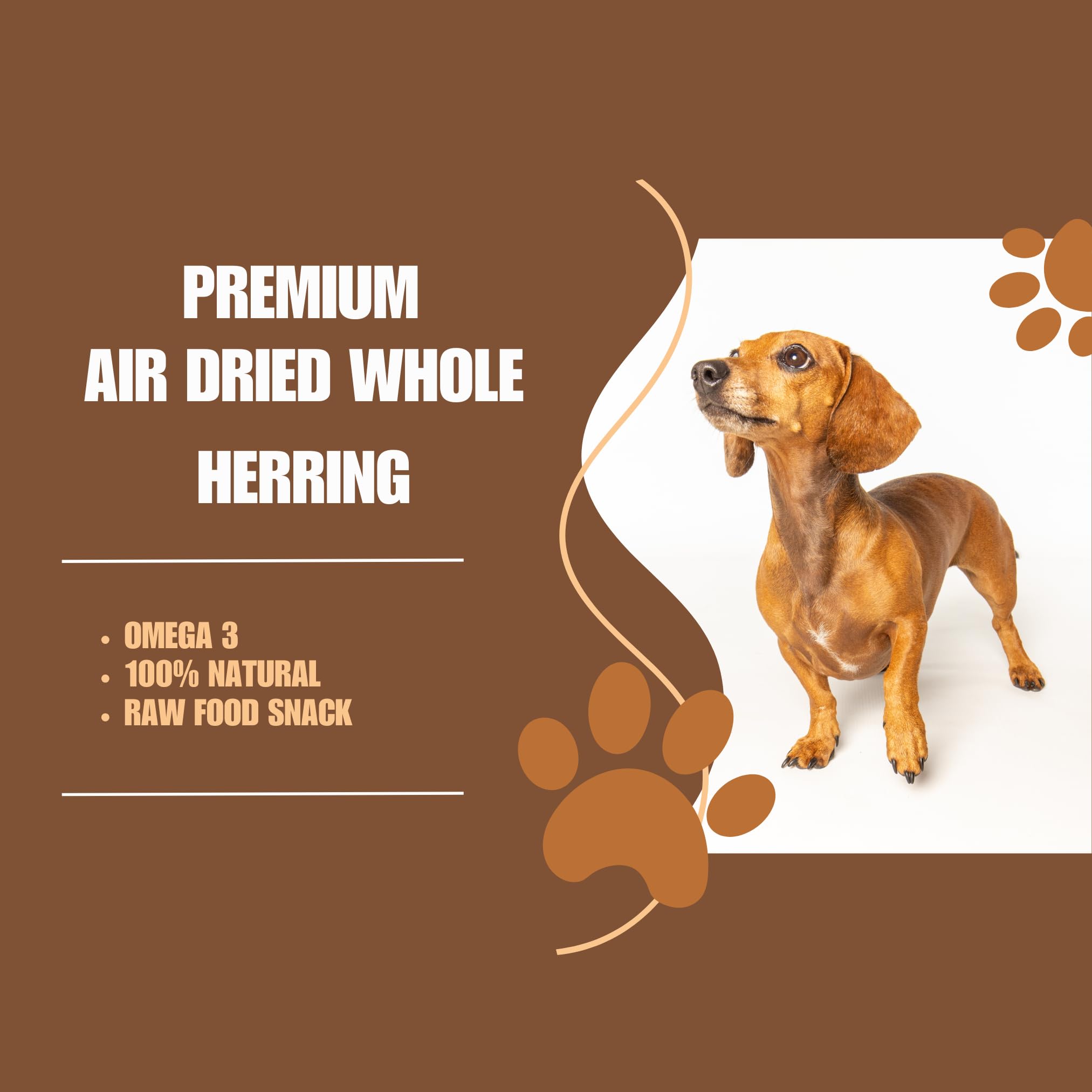 Premium Air Dried Whole Herring Dog Treats, 5 g (Pack of 20) - Image 3