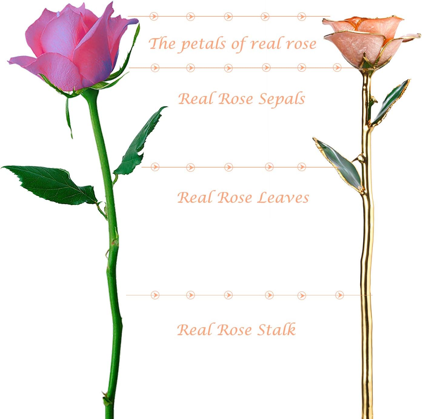 Mom Gifts Gold Rose,Gold Dipped Rose Made from Real Rose Gifts for her and Best Gifts for Mother Gold Roses (Pink Rose with Crystal Stand) - Image 3