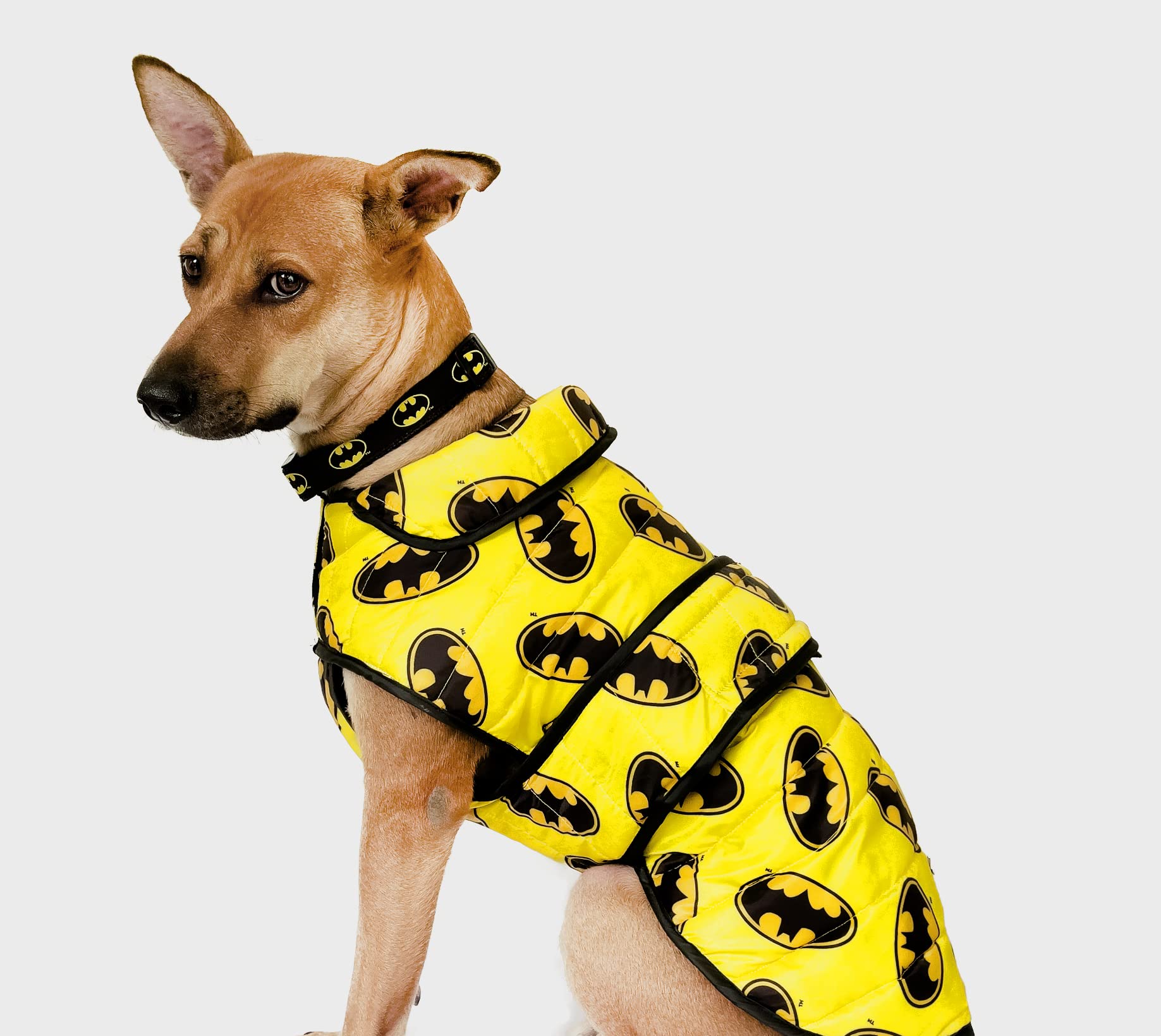 That Dog In Tuxedo Winter Dog Jacket/Dog Coat - Kantha Collection - Peach (Size 14) (B07KN6L63P) Amazon Price History, Amazon Price Tracker