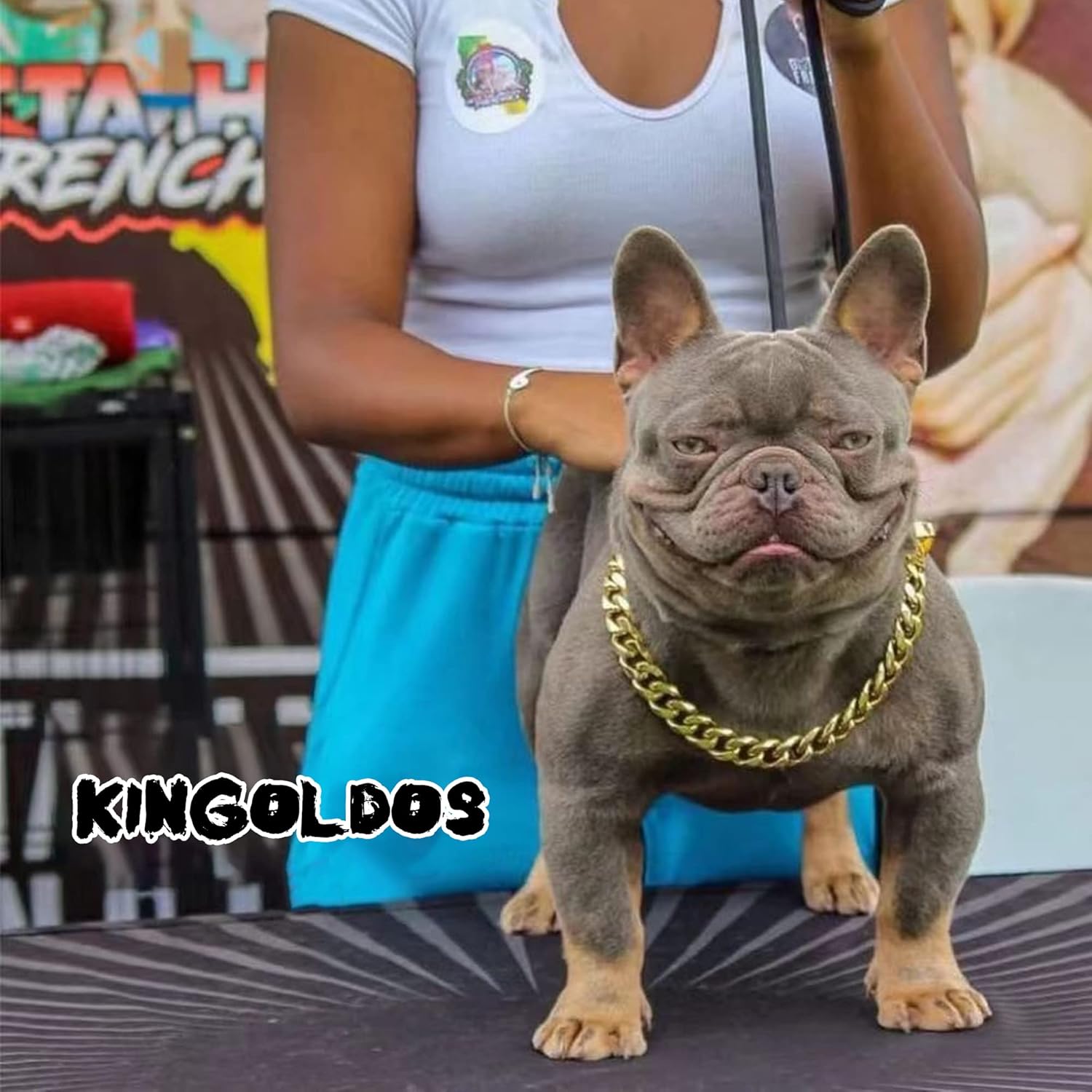 Gold Dog Chain Collars 18K Metal Chain Dog Collar, Puppy Girl Boy Cuban Link Dog Collar with Design Secure Buckle for Small Medium Large Dogs (26" (Neck 24" - 25.5"), Gold)