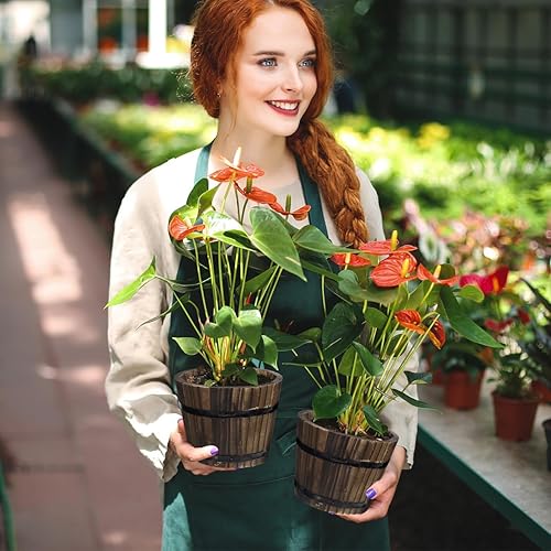 Miniatura 6 de Maceta redonda de madera para suculentas con parte inferior permeable de 7.08 x 7.08 x 5.9 pulgadas, para interiores y exteriores, hogar, oficina,