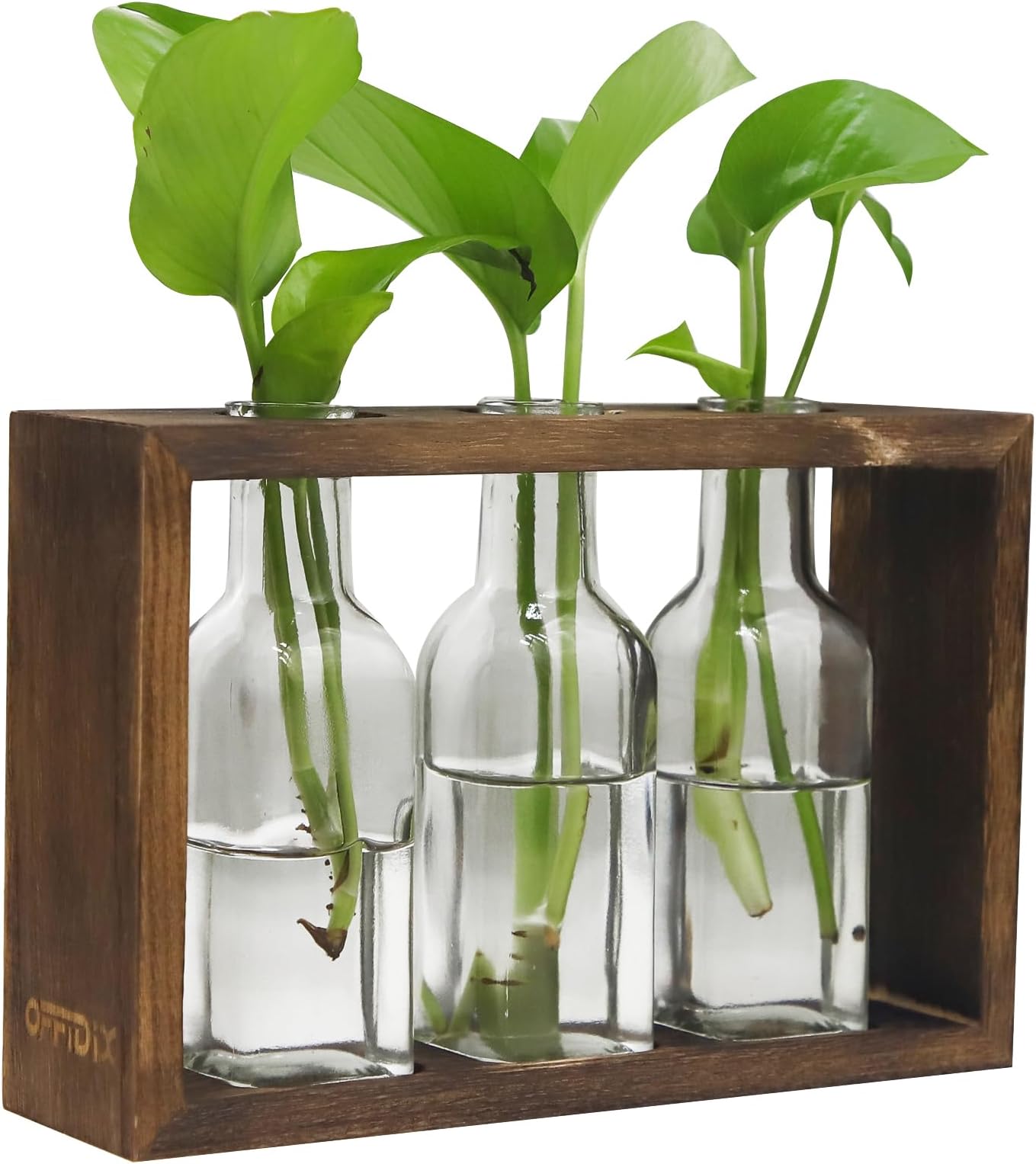 OFFIDIX Plant Terrarium with Wooden Stand,Plant Wooden Station with Glass Vase for Hydroponic Plant,Desktop Wooden Holder for Indoor Plants Home Garden Office Decoration Plants (3 Bottles)