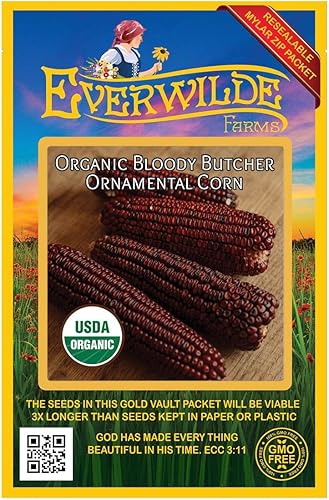 Everwilde Farms - Semillas de maíz ornamentales de carnicero sangriento orgánico de 1 onza - Paquete Gold Vault