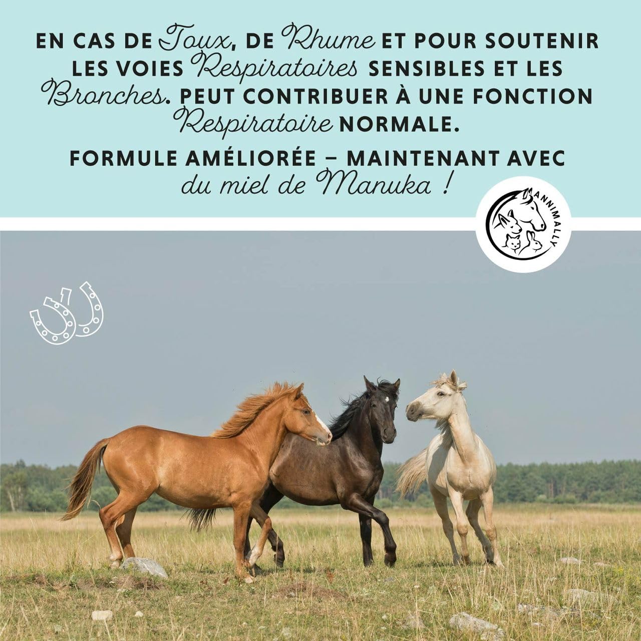 Annimally Sirop toux Cheval 1000ml - Sirop bronchial pour Chevaux Contre la toux et pour apaiser Les Voies respiratoires - Sirop pour la Gorge, Liquide à Base de mélange d'herbes Bronc