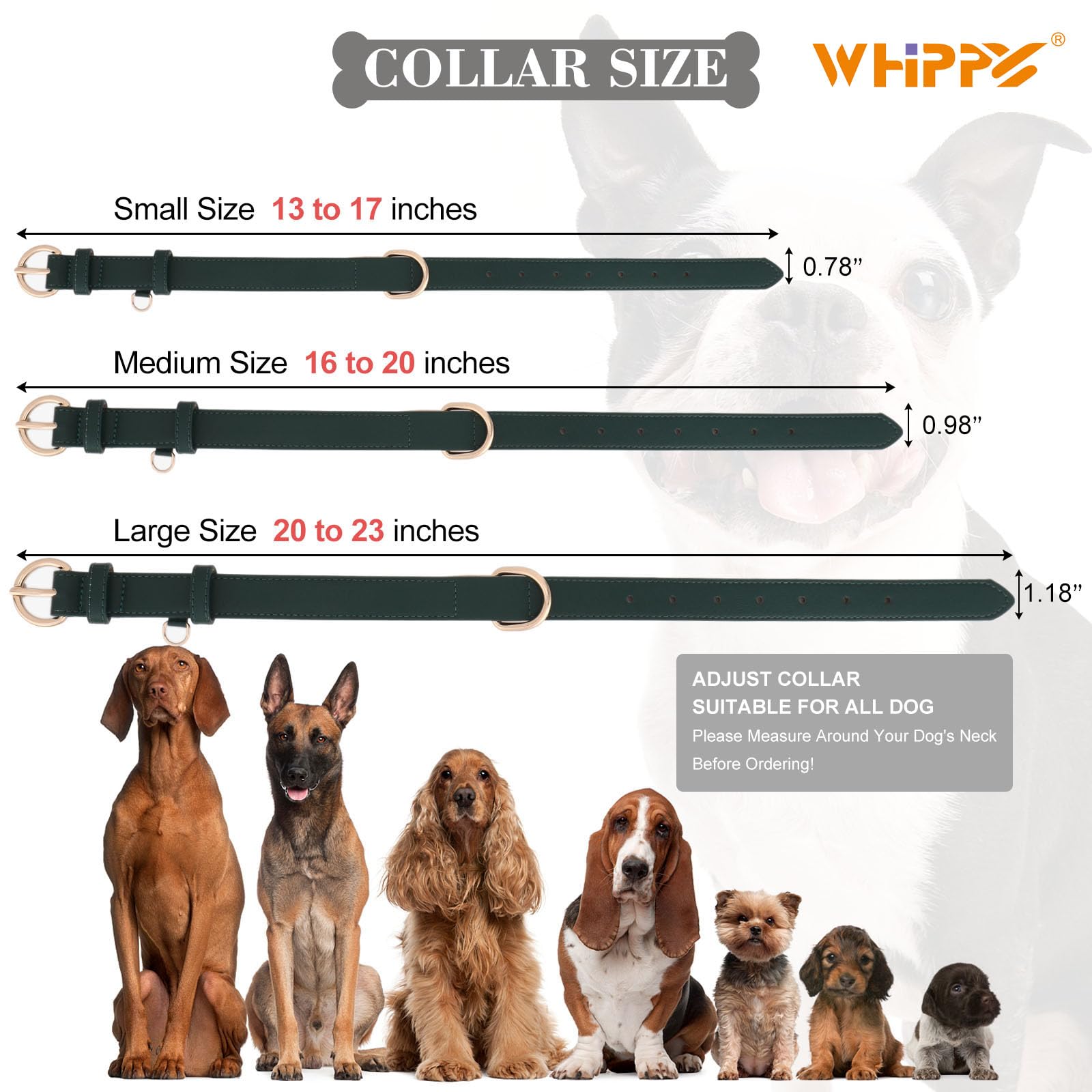 WHIPPY Leather Dog Collar for Small Medium Large Dog Soft Breathable Adjustable Leather Padded Puppy Collar Heavy Duty Waterproof Dog Pet Collar Metal Buckle - Image 4