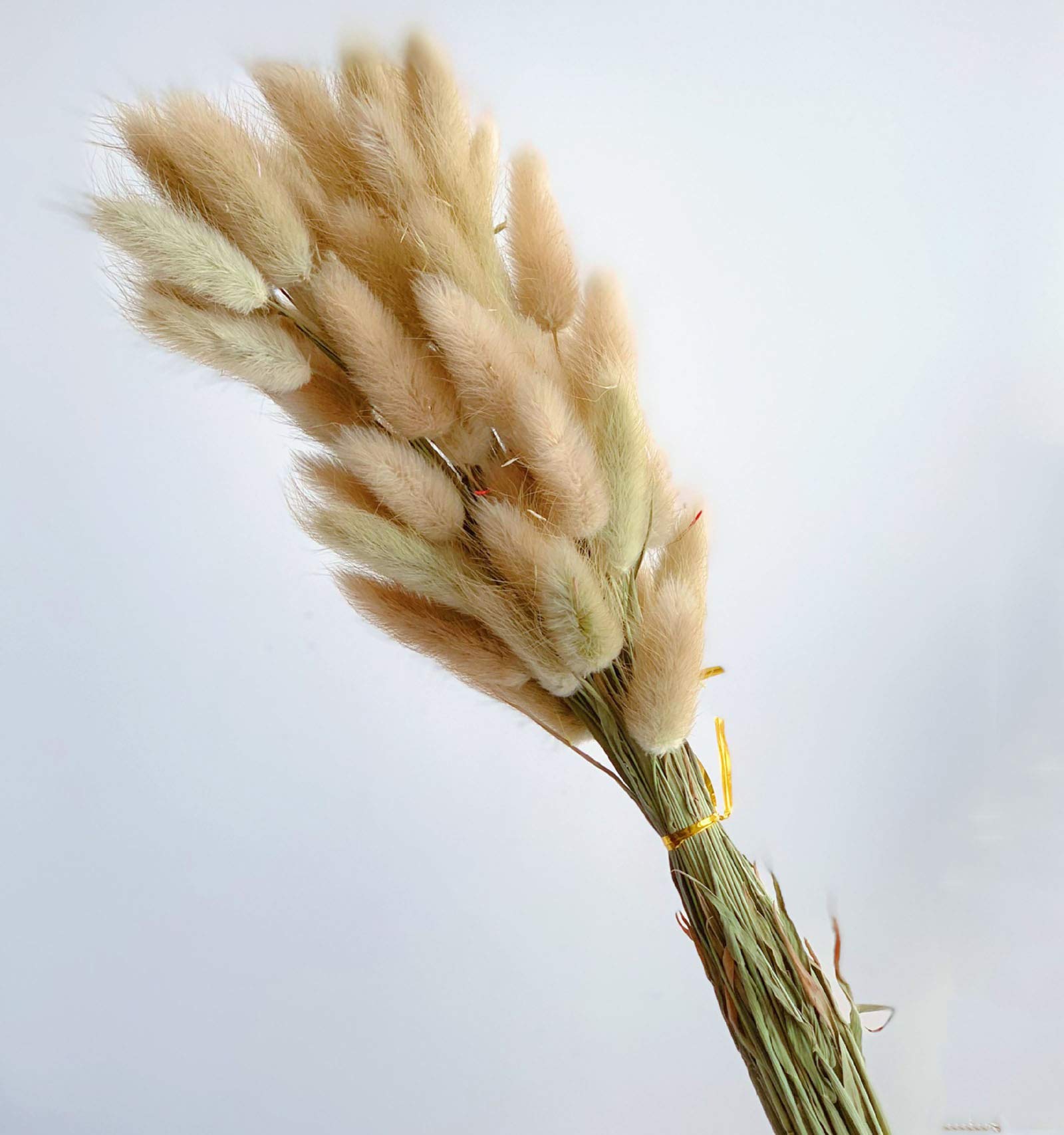 Simulated flowers, Artificial Plant Pampas Grass Reed Fake Wedding Flowers ation...