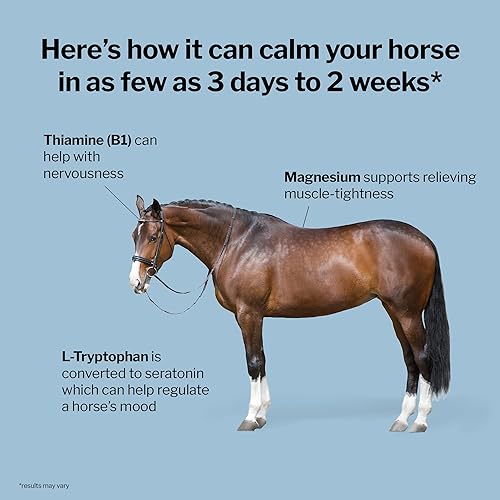 Miniatura 3 de Formula 707 Suplemento equino calmante bolsa de 5 libras - Alivio de la ansiedad y enfoque mejorado para caballos - L-triptófano, tiamina y magnesio