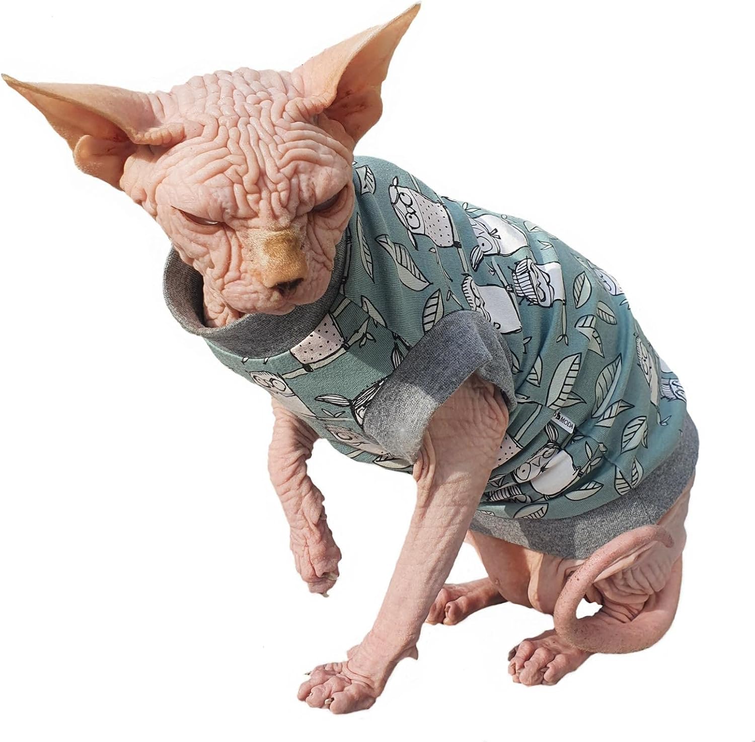 Hairless Cat's Cotton Stretch T-Shirt Tender Owls Blue for Sphynx Cat (XL)