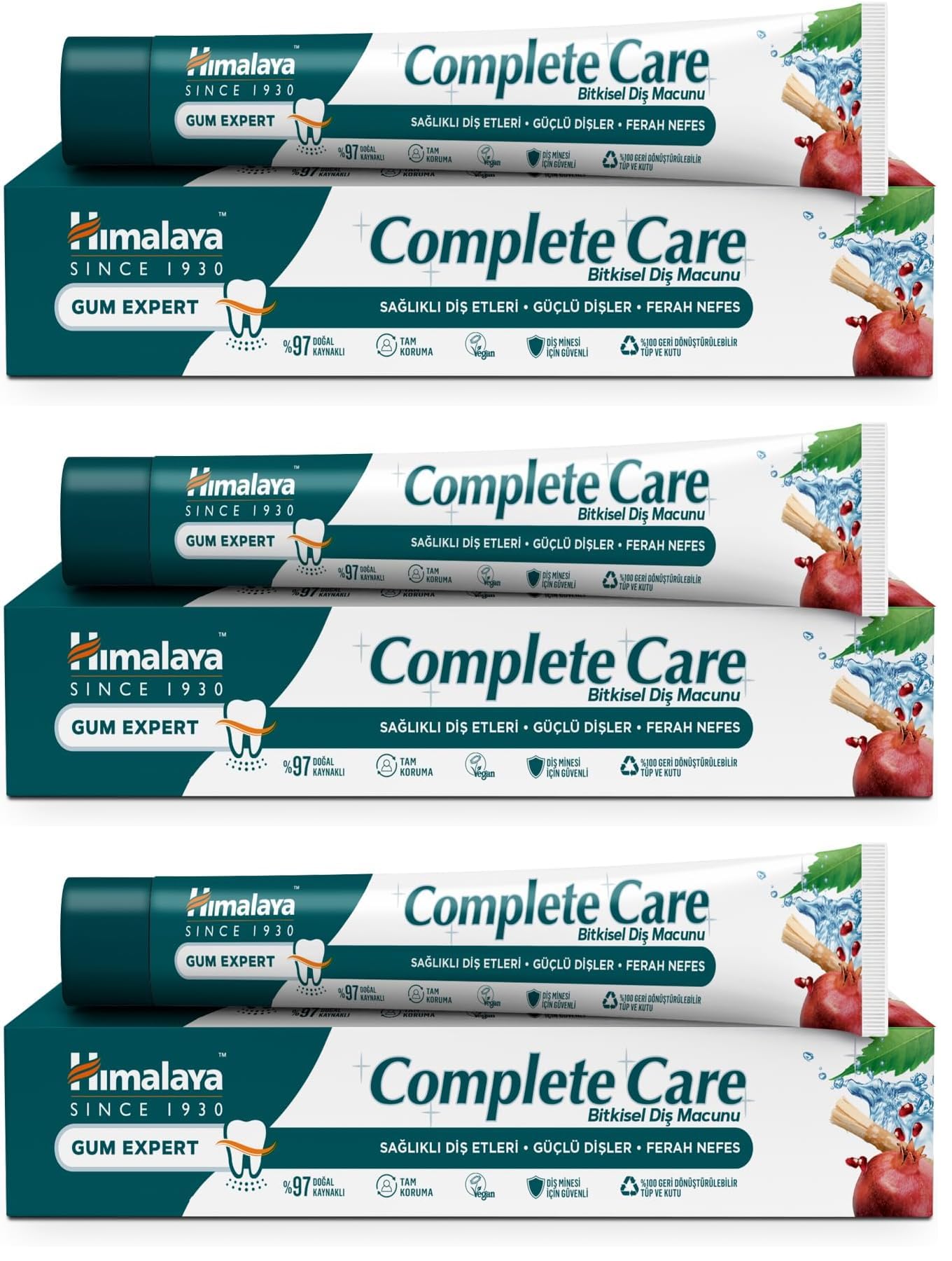 Himalaya Since 1930 Komple Bakım Bitkisel Diş Macunu, Florürlü, Parabensiz, Vejeteryan, Güçlü Dişler, 75 ml (3 paketi)