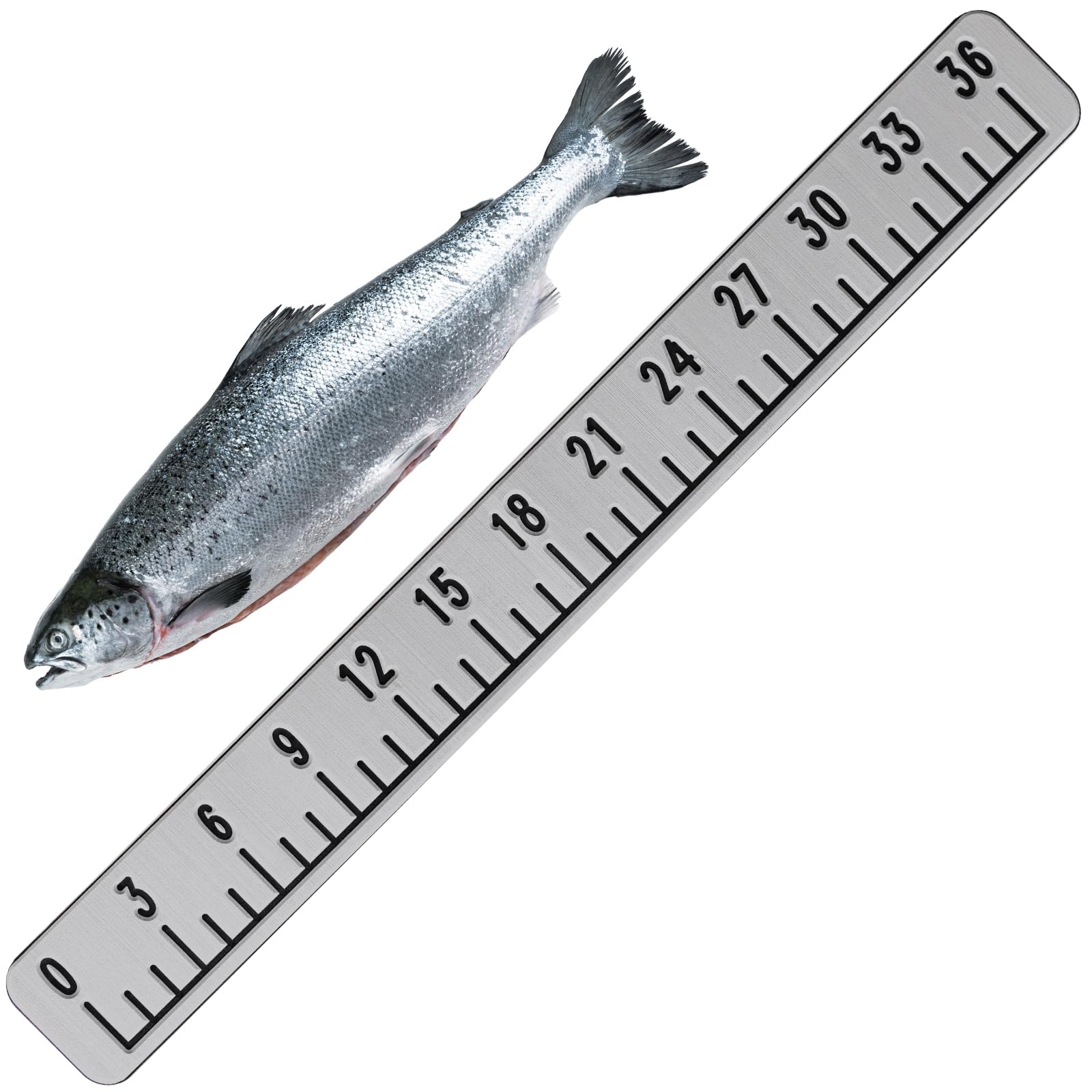 Flutesan 1 Pcs 36 Inch Foam Fish Ruler Fish Size Measuring Tape Measuring Board Tool Adhesive Accessory Marinetool for Boats Sailboats Yachts Kayaks (Gray) : Sports & Outdoors