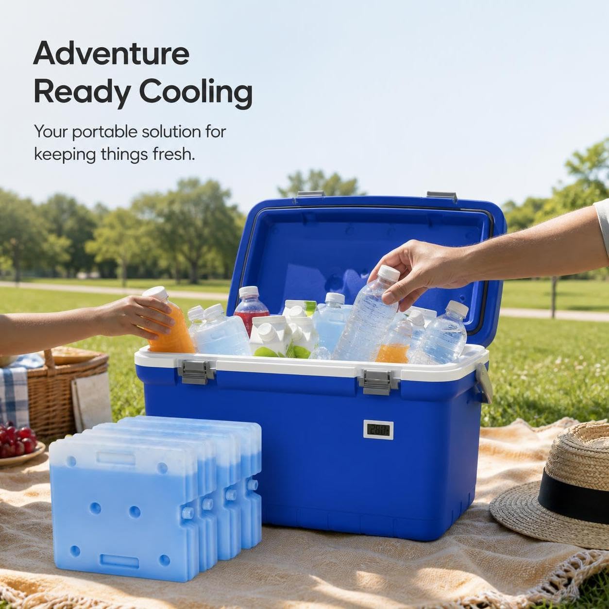 Nevera Portátil 30 L, Caja Refrigeradora