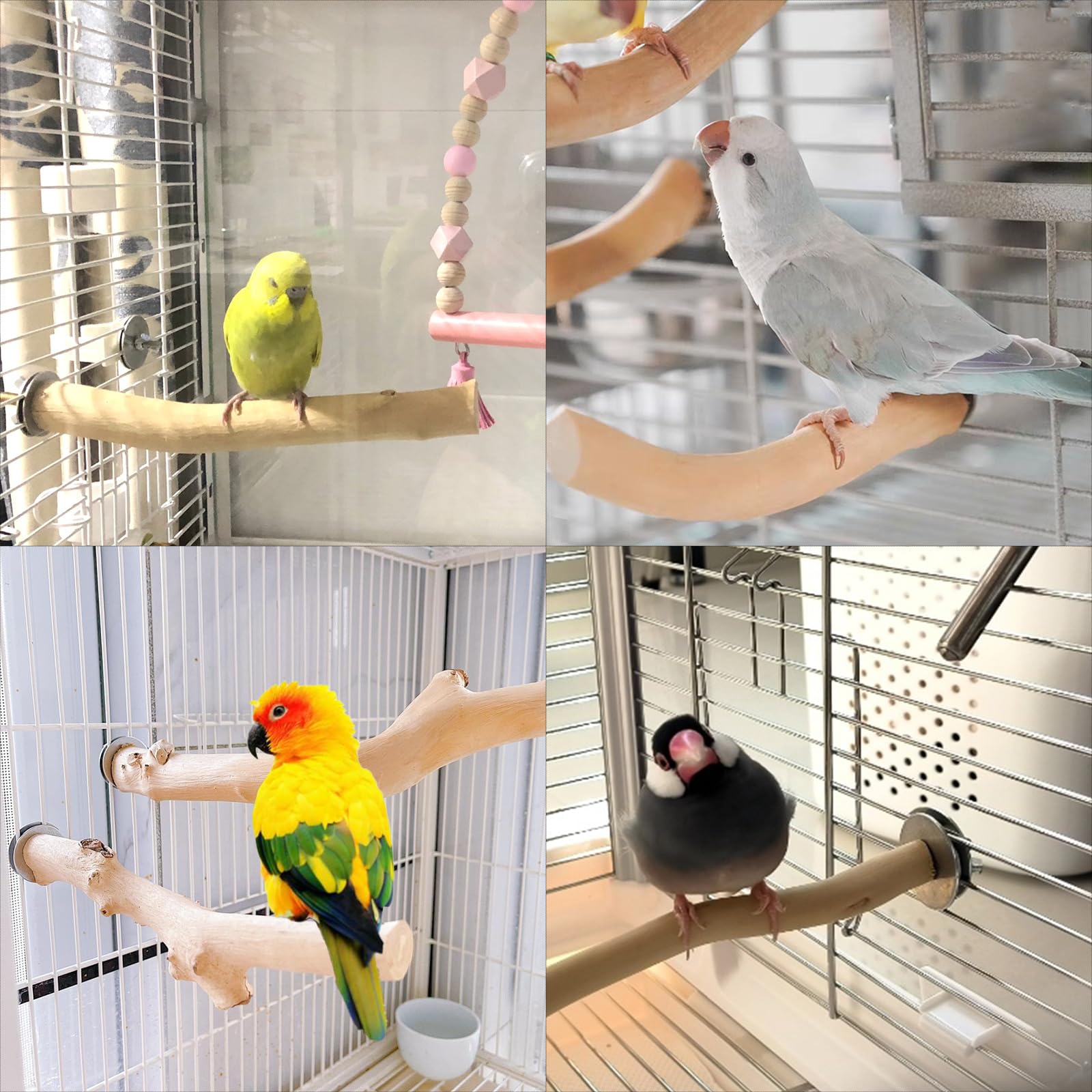 Parrot Playstand Conure Play Gym Wooden Parrot Play Stand With Swing ...