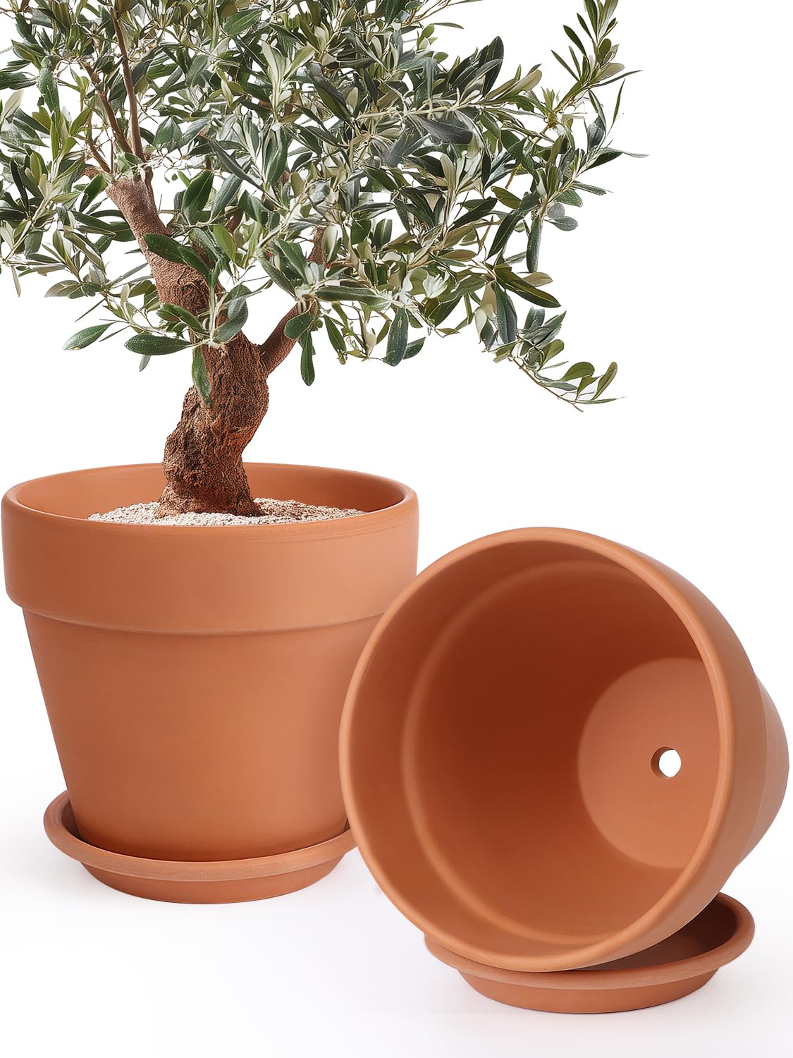 INGOFIN 12 Inch Terracotta Pot Set of 2
