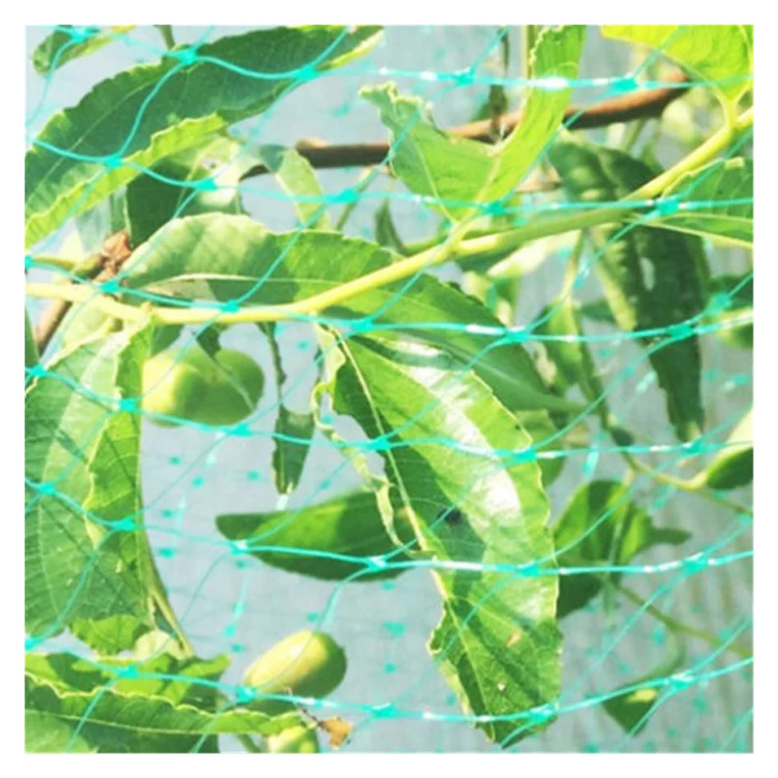 Filet de jardin en maille verte pour protéger les plantes, les fruits, les fleurs, les arbres, filet de clôture extensible pour éloigner les cerfs et les animaux (2 x 10 m)
