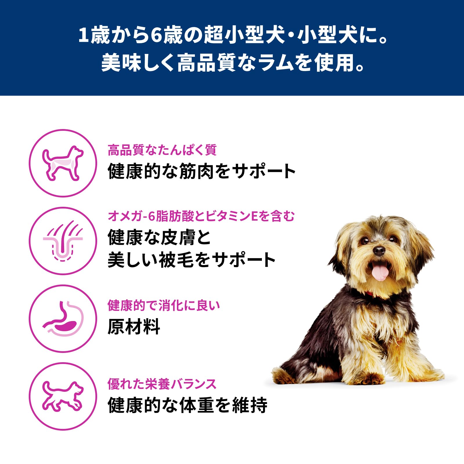 ヒルズ サイエンス・ダイエット ドッグフード 小型犬用 アダルト ラム