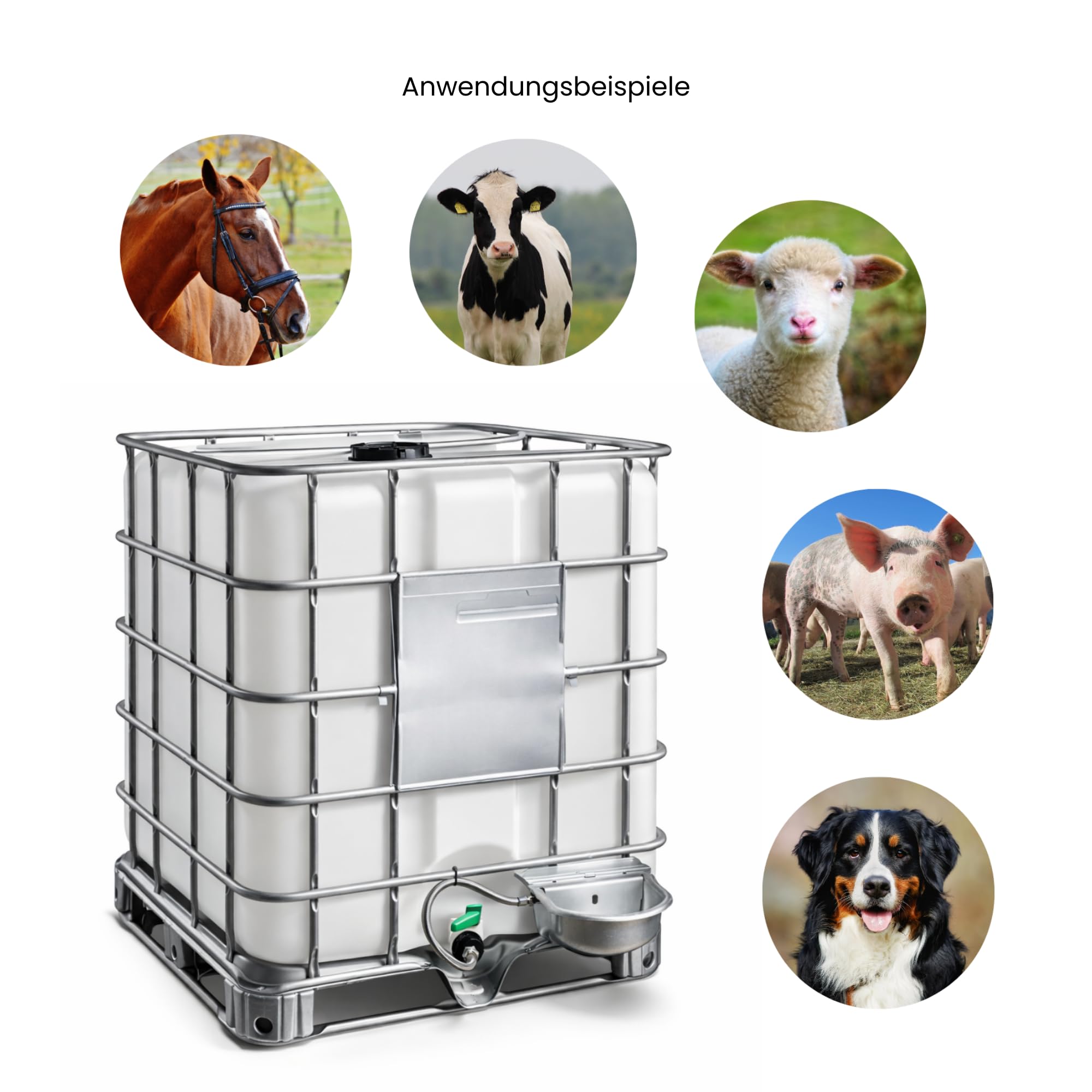 FN-Technik Bebedero flotante para caballos con juego de conexión para IBC Container INOX