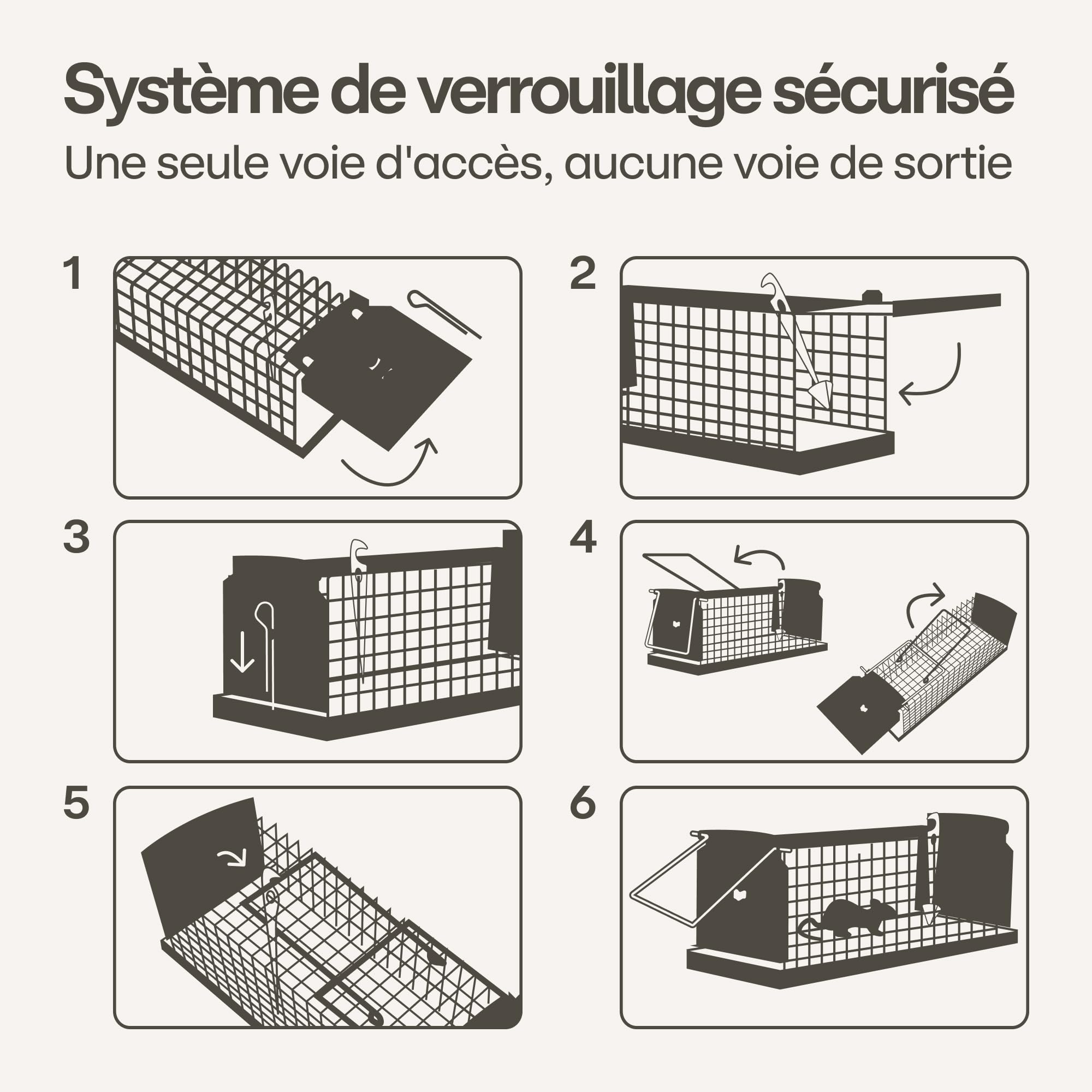 Praknu Piège à Souris Vivant - 4 Pièces - Respectueux des Animaux - Réutilisable - Fabriqué à Partir de Bois FSC® Écologique - Prêt à l'emplo