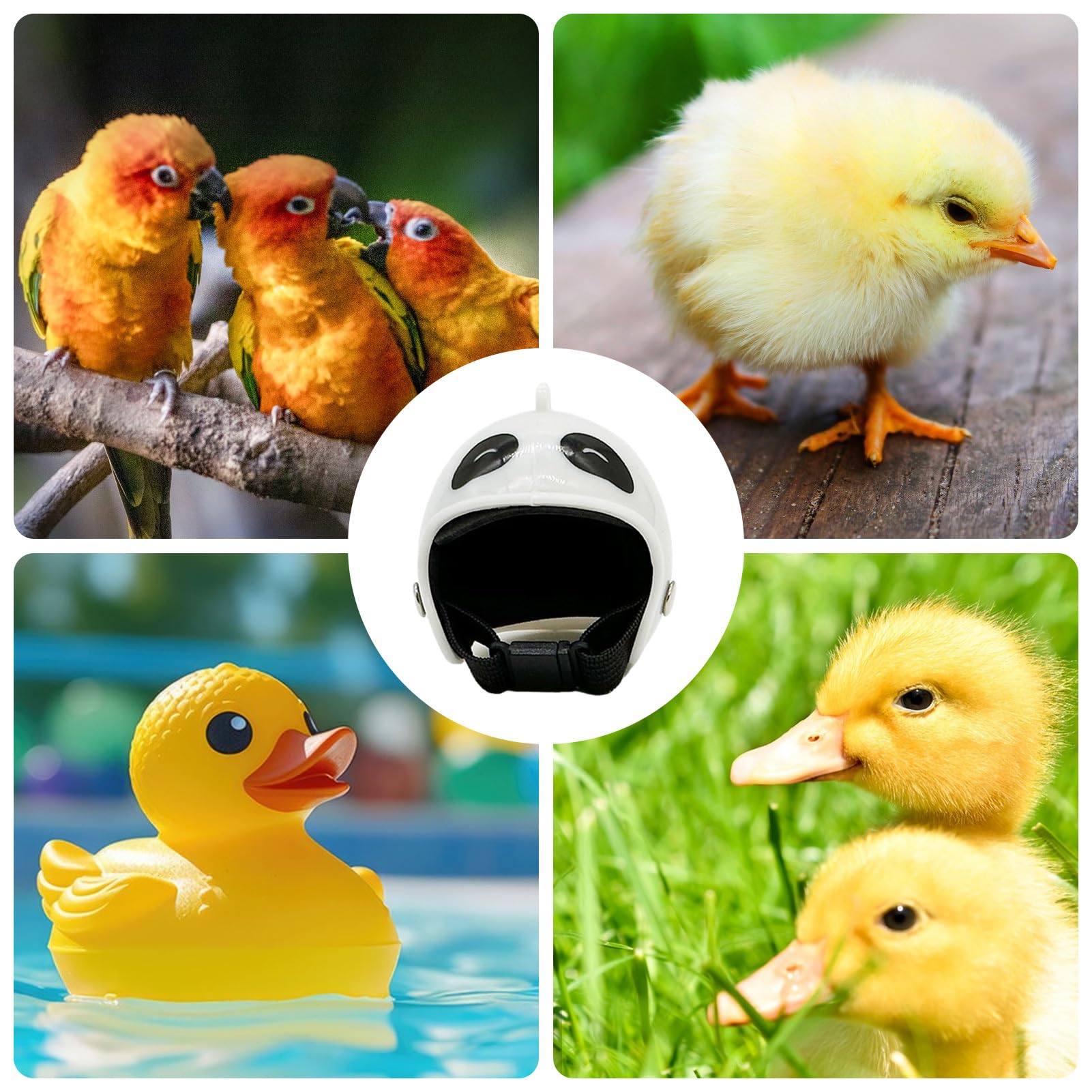 Cappelli di pollo, Cappello di gallina | Cappelli di protezione per uccelli di gallina - Cappelli di Pollo di Sicurezza Regolabili, Protezione Testa Giocattolo di Uccello