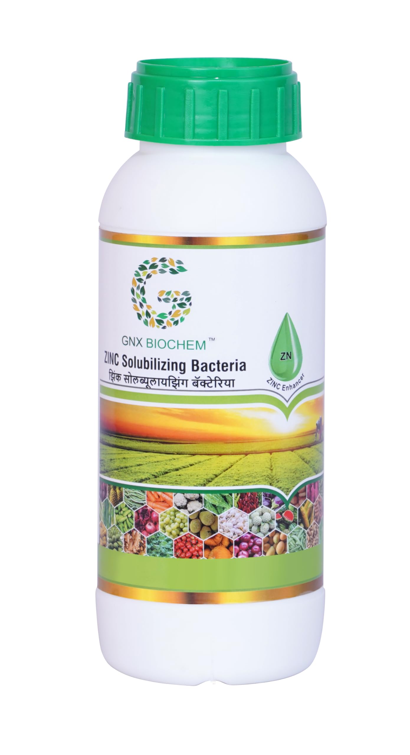 See full amazon price history chart for GNXBIOCHEM Zinc Solubilising Bacteria Organic Liquid Bio Fertilizer For Safe Planting (500 ML) GNXBIOCHEM Zinc Solubilising Bacteria Organic Liquid Bio Fertilizer For Safe Planting (500 ML) (B0D9D36M2G) Amazon Price History, Amazon Price Tracker
