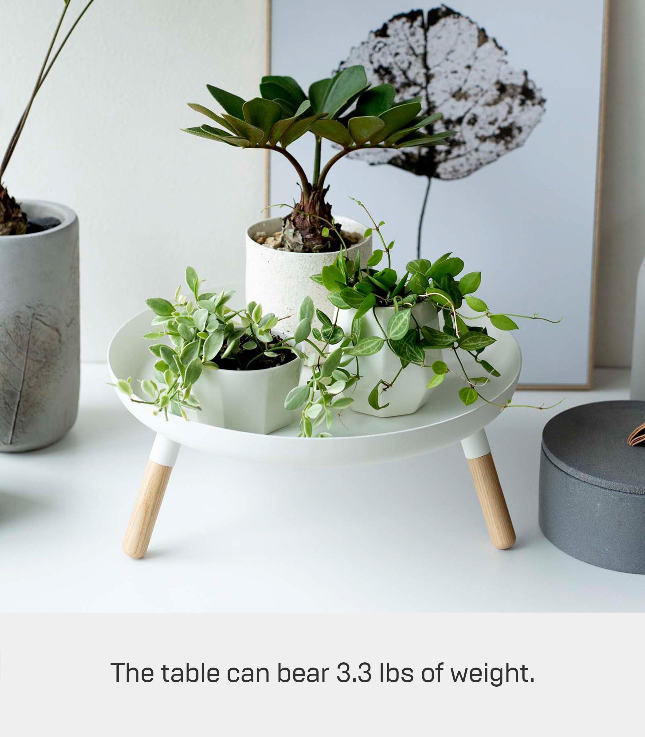 YAMAZAKI 5564 Plain Tray with Legs, White, Steel/Wood, 32 x 32 x 13 cm