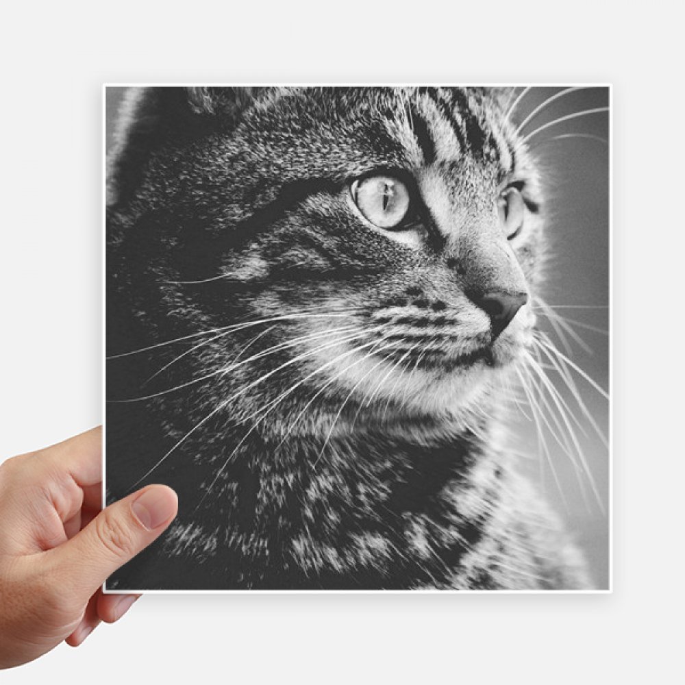 Autocollants chat noir carré DIYthinker pour mur et pc