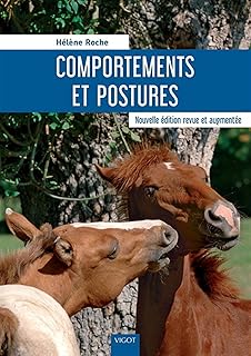 Comportements et postures