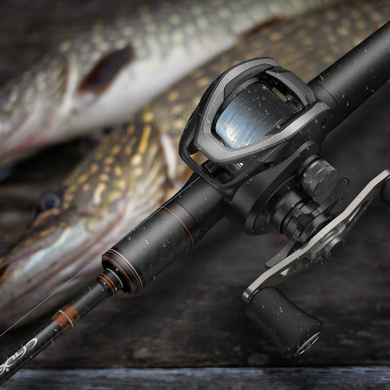 Cadence Essence Low Profile Fishing ReelLightweight Baitcasting Reel with  Corrosion Resistant Bearings 20 lbs Carbon Fiber Drag with High Speed