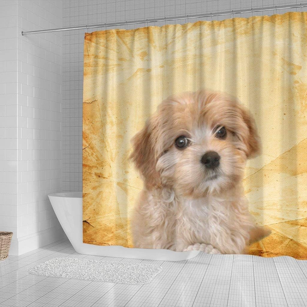 Lovely Cavapoo Print Shower Curtains