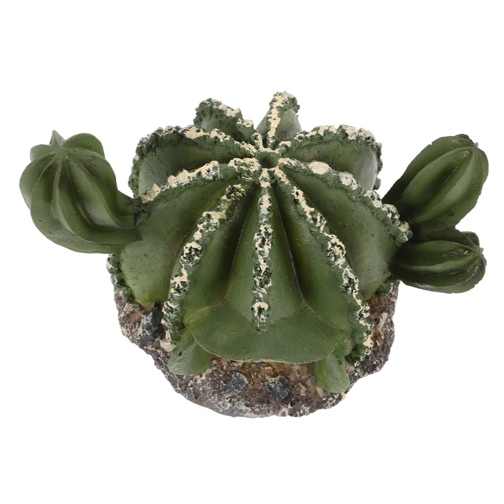 VANZACK 4piezas Cueva De Reptiles De Forma De Cactus Refugio Decorativo para y Terrarios Natural para y De Ocultación para Reptilianas