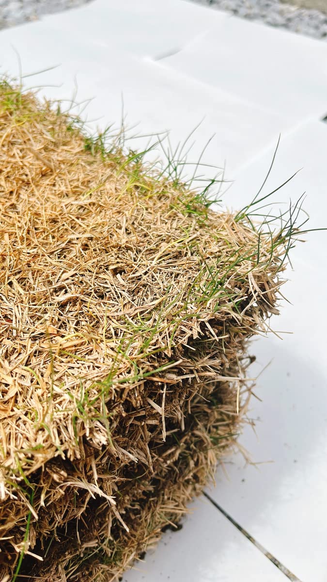 Amazon.co.jp: 姫高麗芝 30㎝X37㎝ 9枚入り 1平米分 4束 造園にも利用