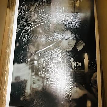 hyde 額付きフォト ラルク 送料無料 額装品 hyde ラルクアンシエル L'Arc～en～Ciel／1998