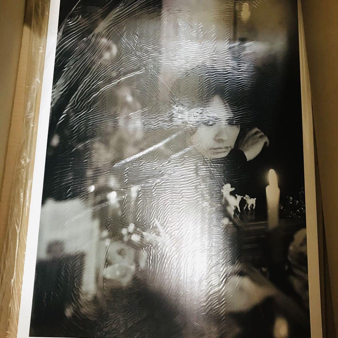 Amazon.co.jp: 限定 ラルク hyde L'Arc〜en〜Ciel 写真集 : おもちゃ