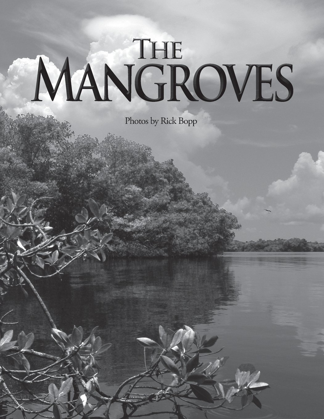 The Mangroves