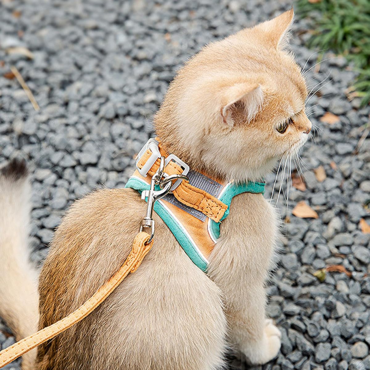 Happyyami 3juegos Arnés Reflectante Ajustable para Gato Correa Arnés De Suede y Ligero para Pasear Mascotas para Gatos Pequeños y Kittens