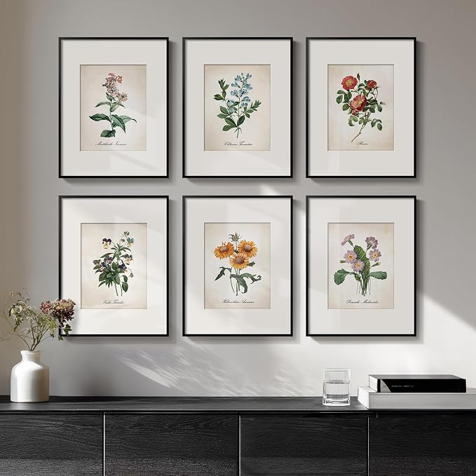 Amazon.com: Framed Botanical Floral Wall Art, Set of 6 Vintage ...