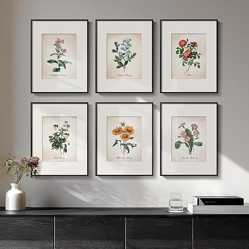 Framed Botanical Floral Wall Art, Set of 6 Vintage Wildflower