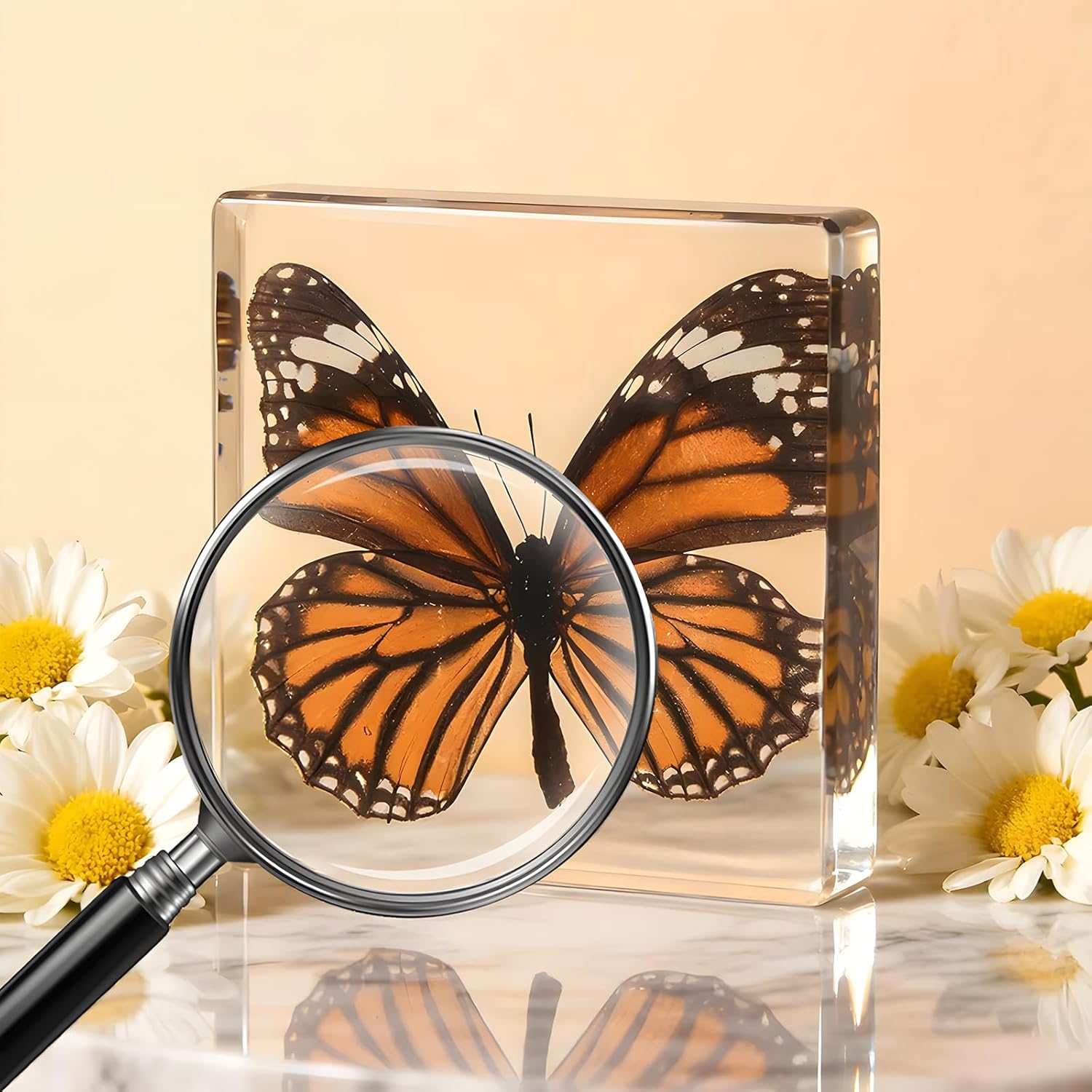 4-Pack Taxidermy Butterfly, Real Butterflies Specimens in Resin - Genuine Resin Butterflies Framed Display for Taxidermy Bugs, Oddities, Biology, Science & Home Decor (3x3x1 inch)