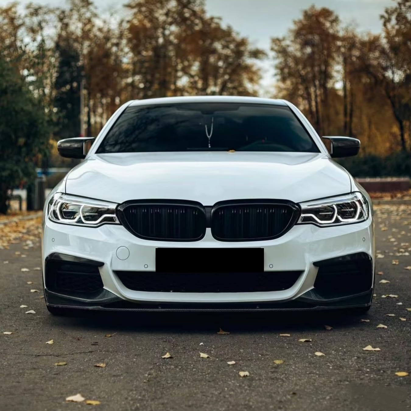 Front Bumper Lip Splitter Spoiler Fit for BMW 5 Series M550i/ 530e/ 530i/ 540i 2017 2018 2019 2020 Accessories (G30 M Sport Model Only), Carbon Fiber Look Air Chin Body Kit Exterior Parts