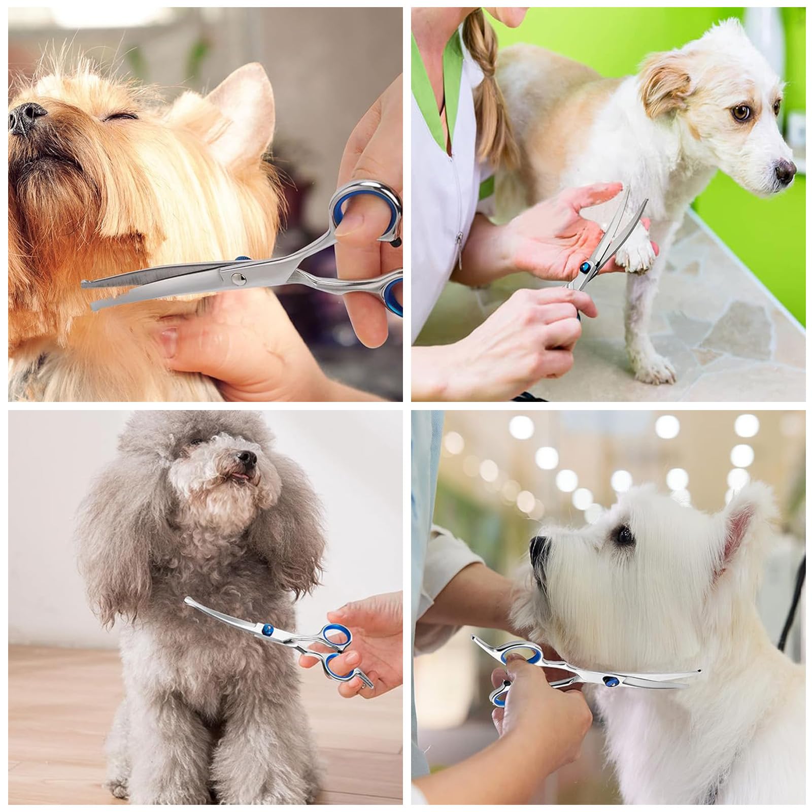 Ciseaux de toilettage pour chiens et chats en acier inoxydable, bleu, moderne