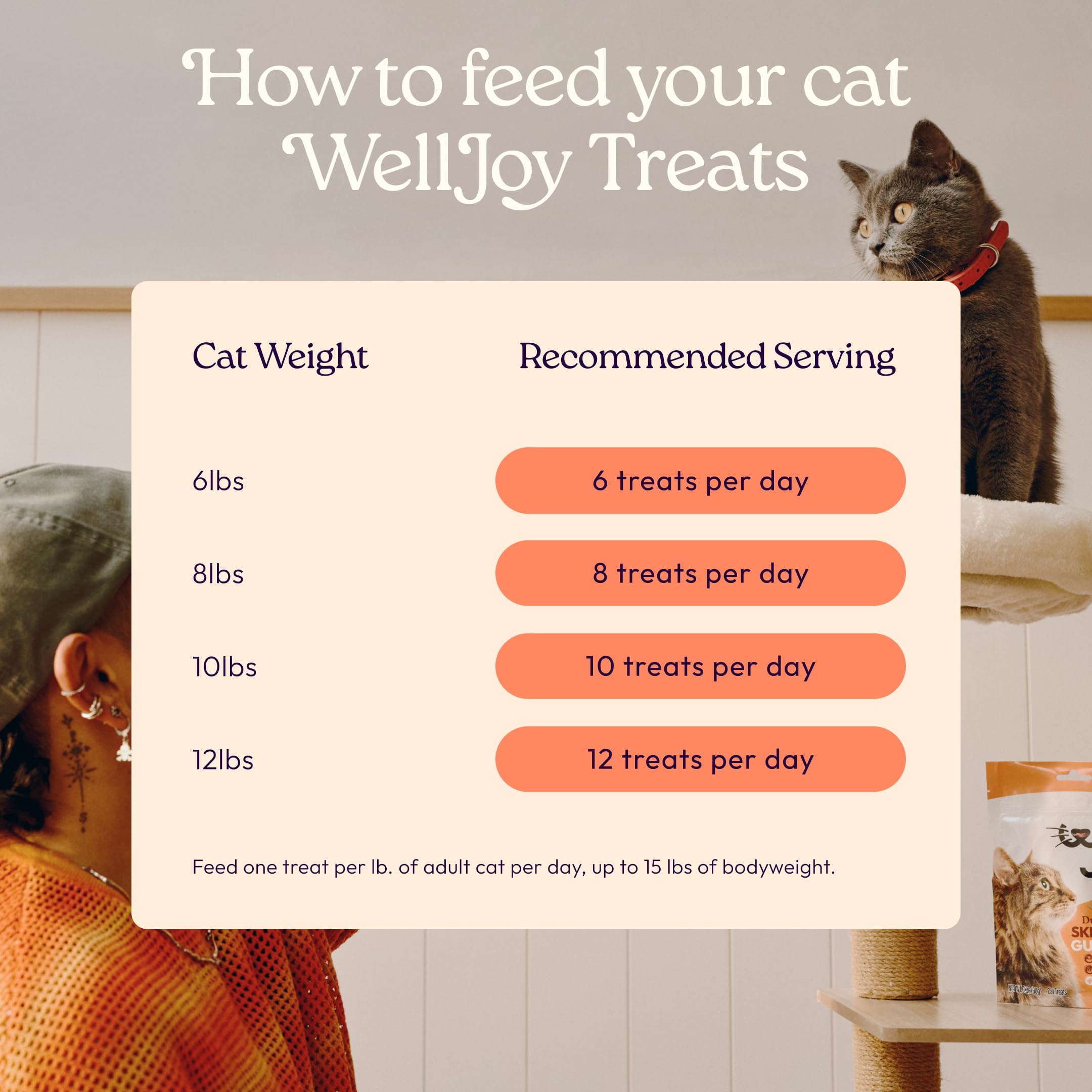 New! WellJoy Cat Treat Skin & Coat+ GutBoost | Nourishes Healthy Skin | Supports Shiny Coat | Dual-Benefit GutBoost Formulation | Vet Formulated | Made in USA | Real Shredded Chicken | 120 Soft Chews - image 6