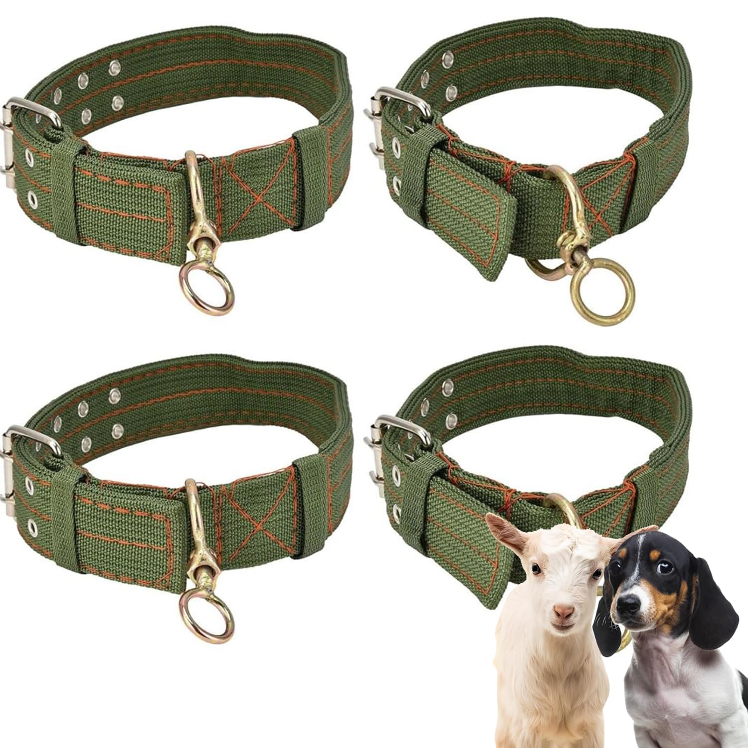 Schafhalsband Verstellbares Dickes Hundehalsband  Robustes  Bauernhofhalsband Fr Schaf, Rind, Hund & Kamel Kamel Halsband