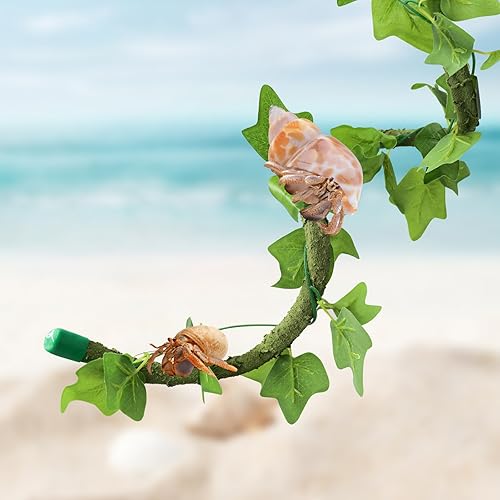 Oooct Juguetes trepadores de cangrejo ermitaño de 39.4 pulgadas, suministros de cangrejo ermitaño flexibles, juguetes de enredaderas de reptiles,