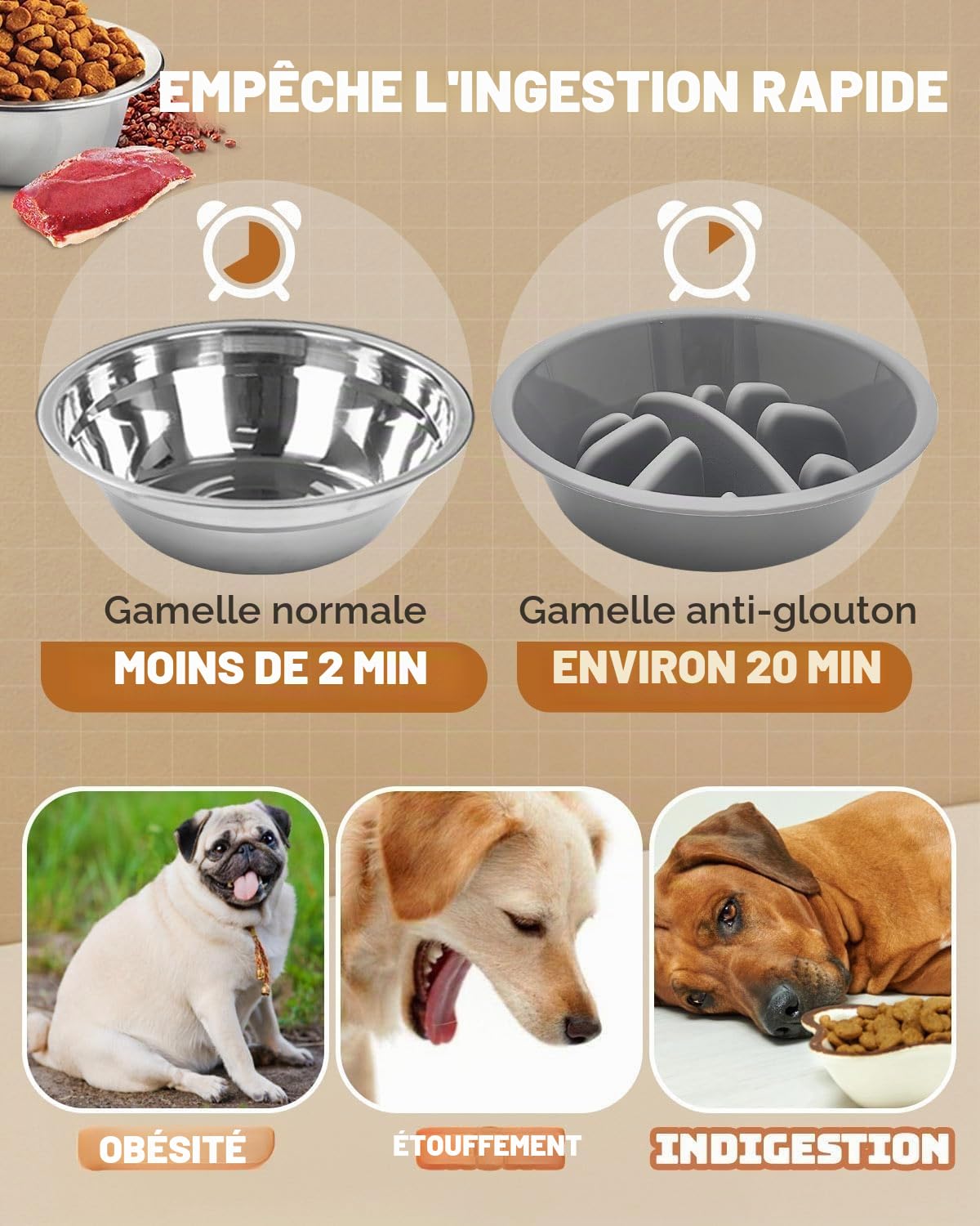 Romicta Gamelle surélevée pour Chiens de Grande Taille avec 2 gamelles en Acier Inoxydable de 1200 ML et 1 Gamelle Anti-Glouton - pour Chiens de Taille Moyenne et Grande - 5 hauteurs réglables