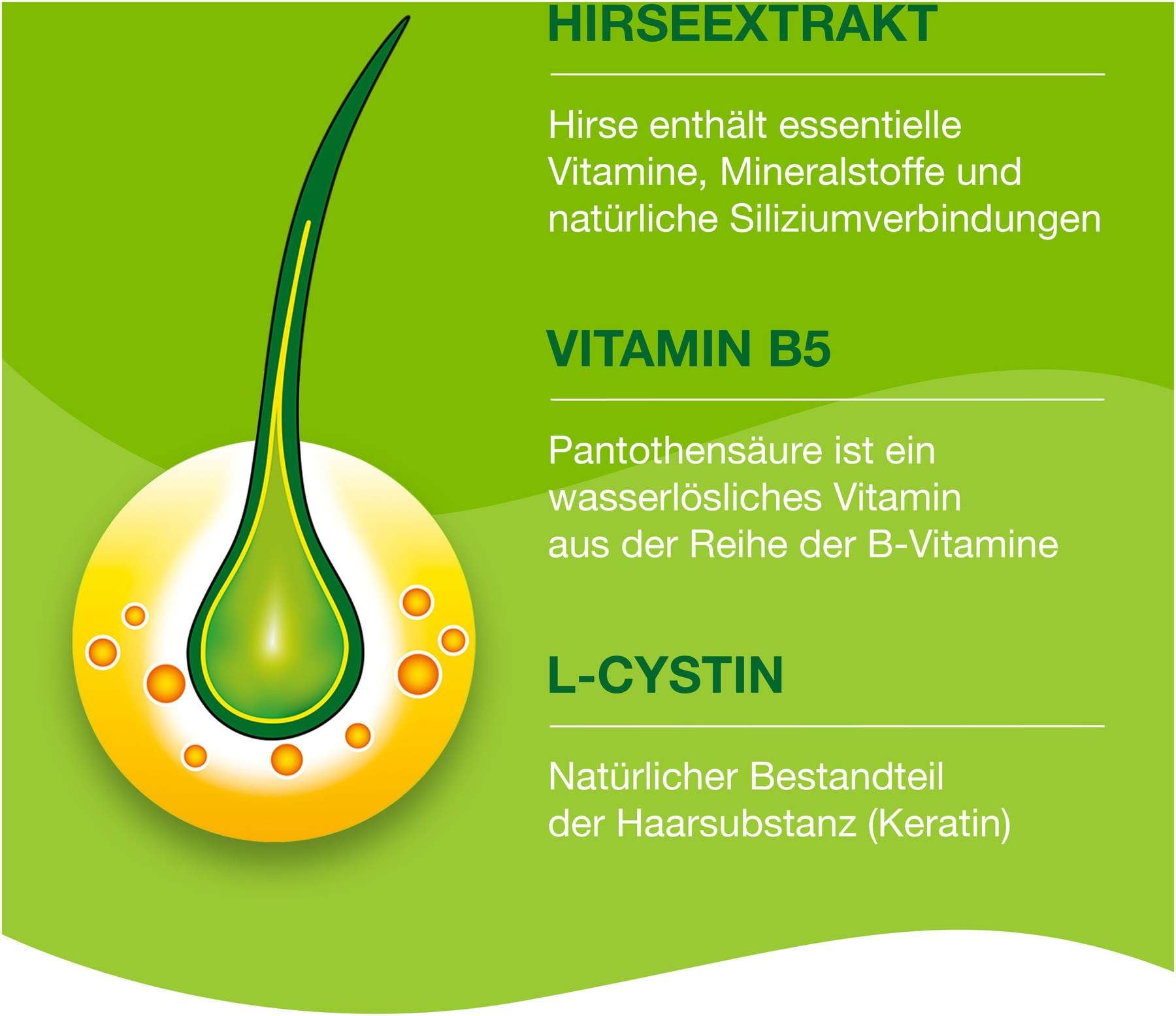 PRIORlN 3 x 120 Kapseln - Haarkapseln mit Nährstoffen für die Haarwurzeln - bei hormonell erblich bedingtem Haarausfall und Haarwachstumsstörungen