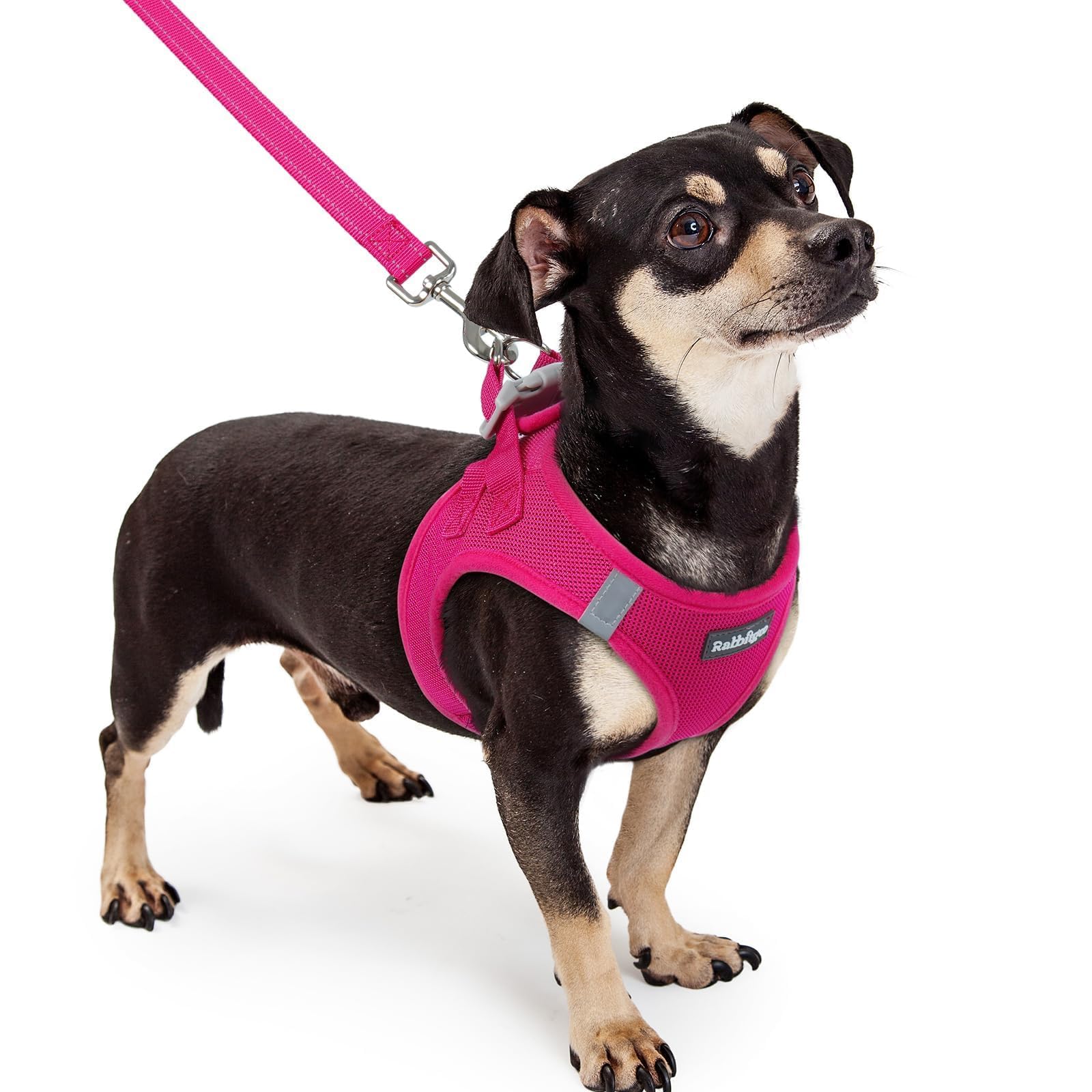 rabbitgoo Dog Harness Small Sized and Leash Set, Step-in Puppy Pet Vest