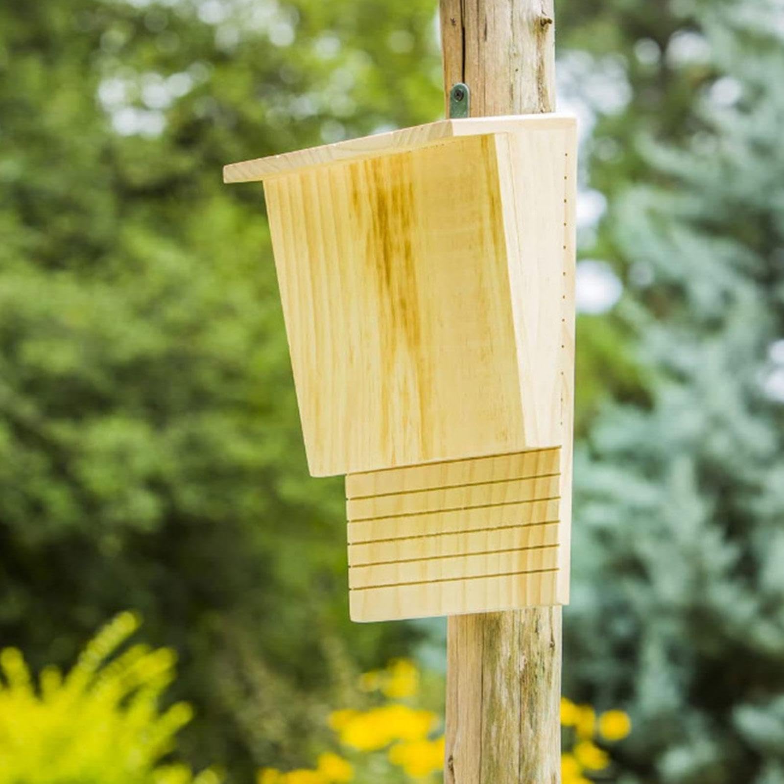 Bat Box In Legno Resistente Alle Intemperie