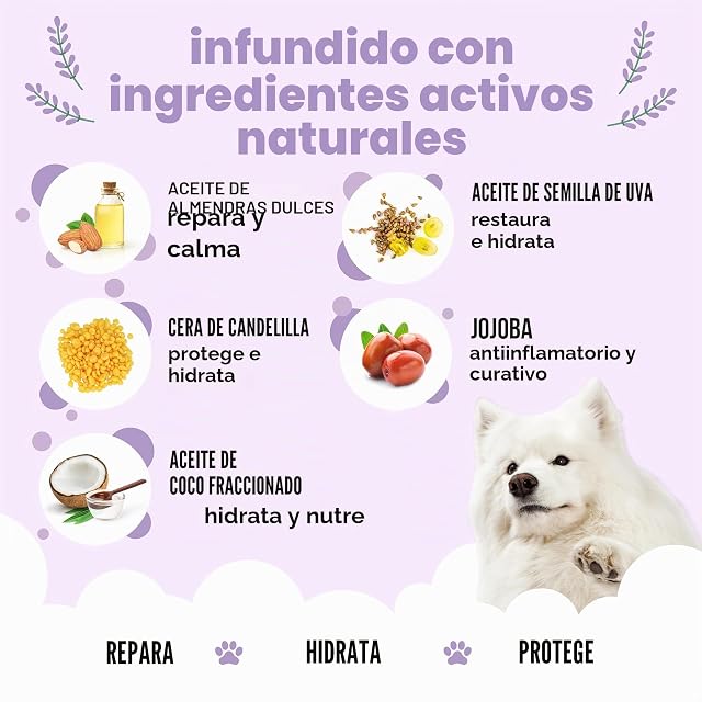 Foto 3 de 8 de Buddycare Bálsamo para patas y nariz de perro, la lavanda protege y repara la piel seca, agrietada y agrietada