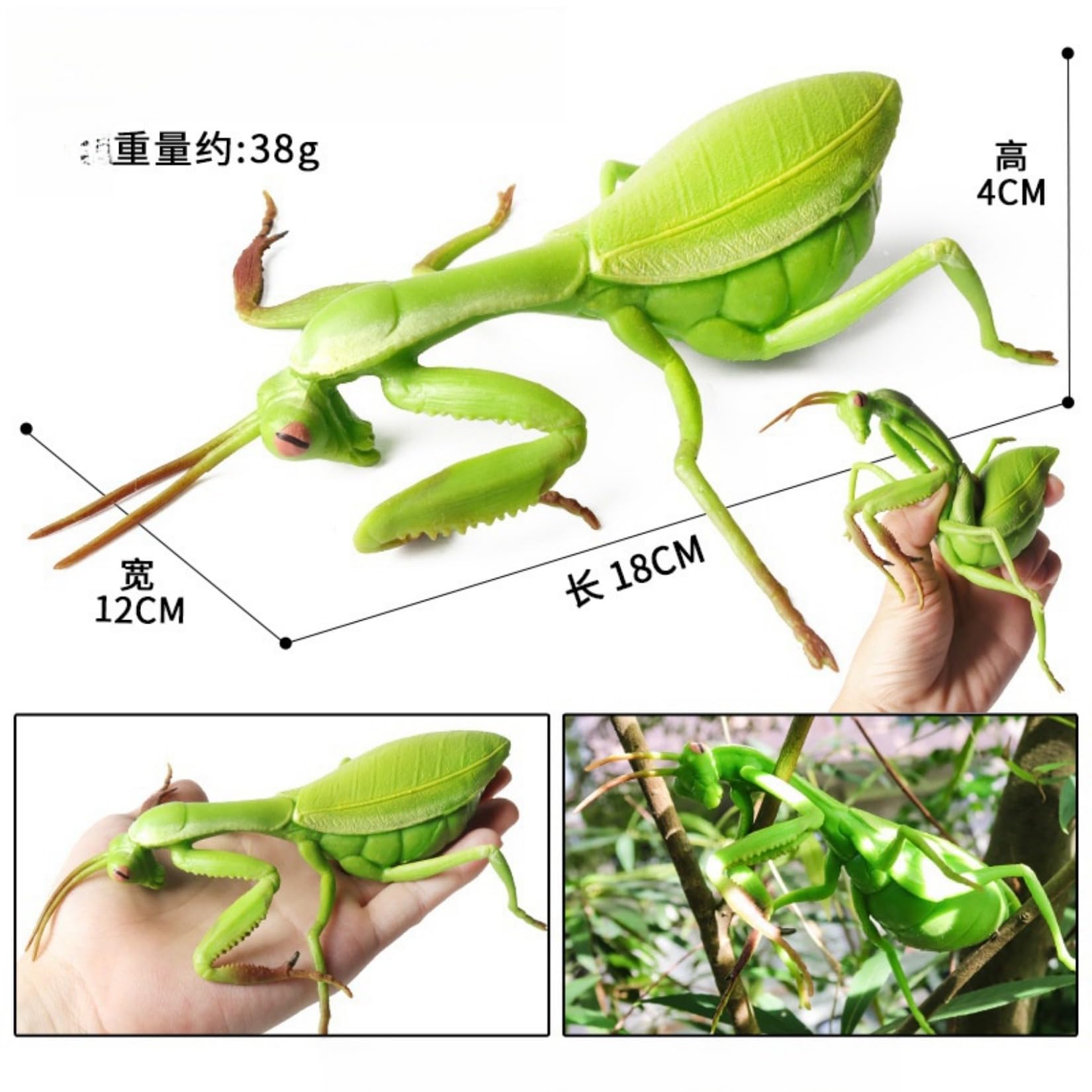 Amazon | EUHELOPA ストレス解消 おもちゃ カマキリ 蟷螂 節足動物門