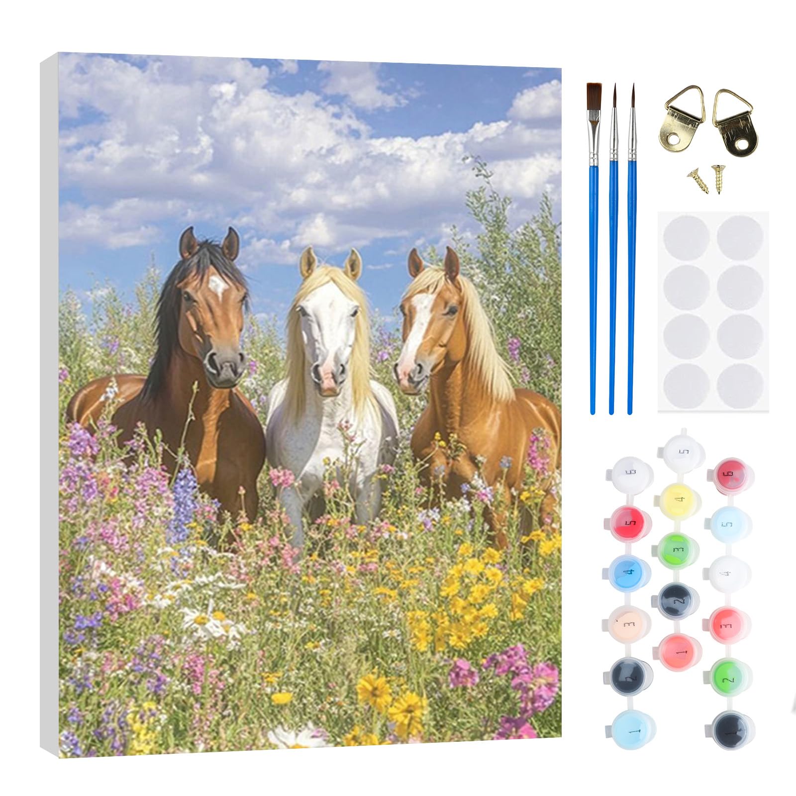 RICUVED DIY Three Horses Paint by Numbers Kit for Adults–Animal Paint by Numbers Oil Painting with Wooden Framed,Easy to Paint Kits with Brushes Acrylic Pigment Drawing Paintwork for Decor 20x30 cm