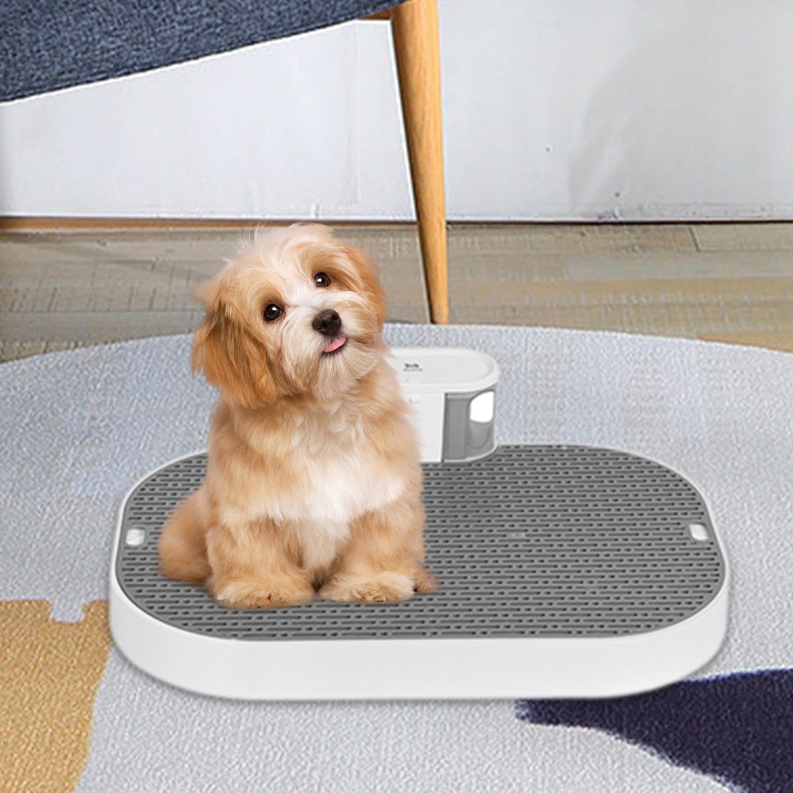 ペット用 スマートトイレ 犬用 トレーニング おしっこ処理 Amazon | 犬用トイレ スマート犬用トイレ 自動おしっこ収集 静音